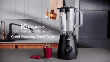500 watt UltimateTaste 300 blender with 2 speeds