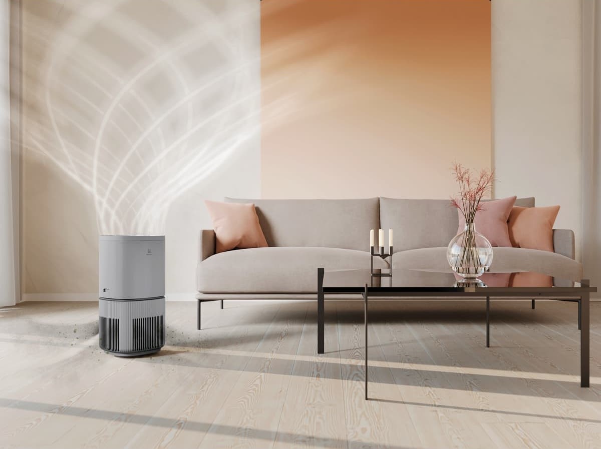 Can air purifier remove odor?