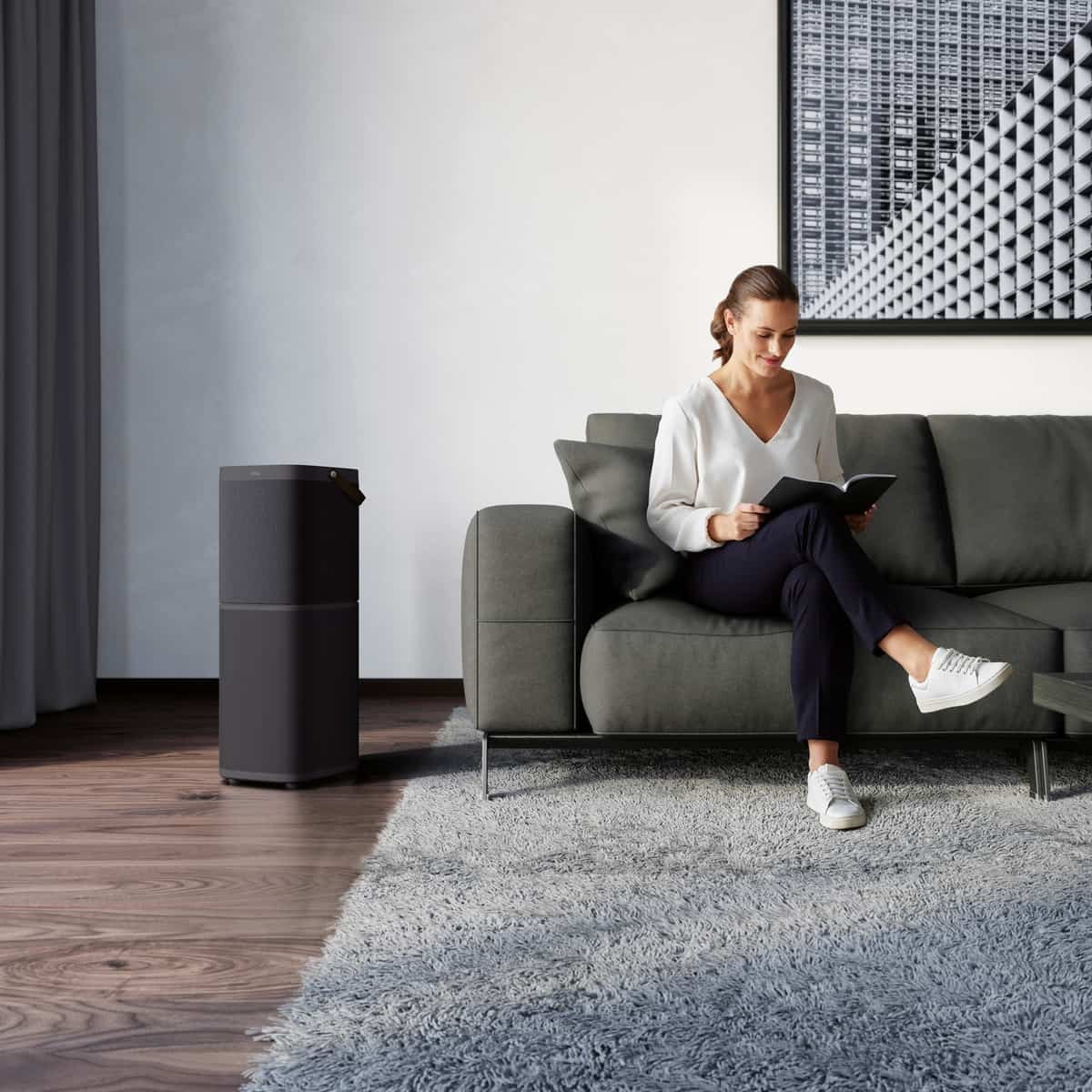 Electrolux air purifier to improve your life quality with cleaner air