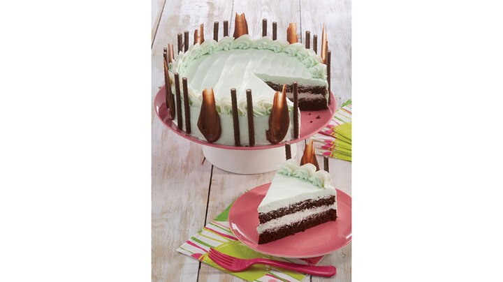Chocolate-Mint-Cake.jpg