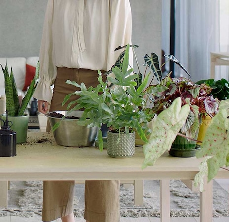 air-purifiers
