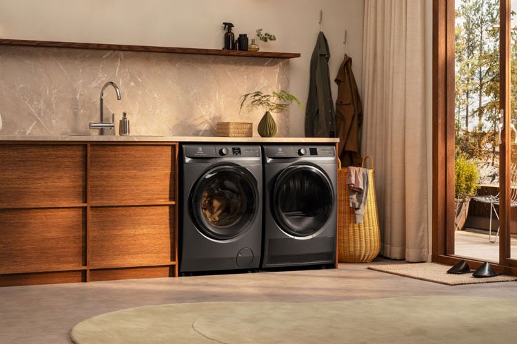 Heat pump dryers