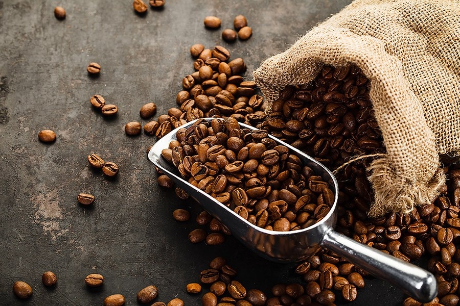 Bake. Roast. Re-heat.