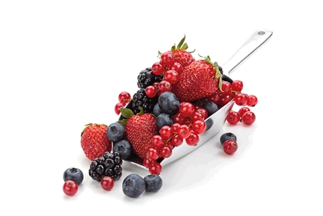 500 watt UltimateTaste 300 blender with 2 speeds - E3TB1-310K | Electrolux Malaysia