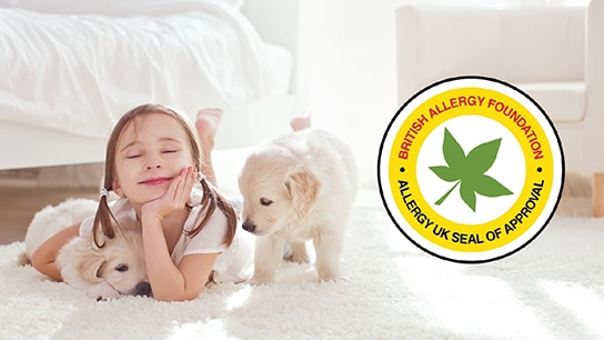 Superior Dust Pick-up